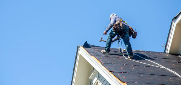 Professional Roofing Contractor in Lenwood, CA